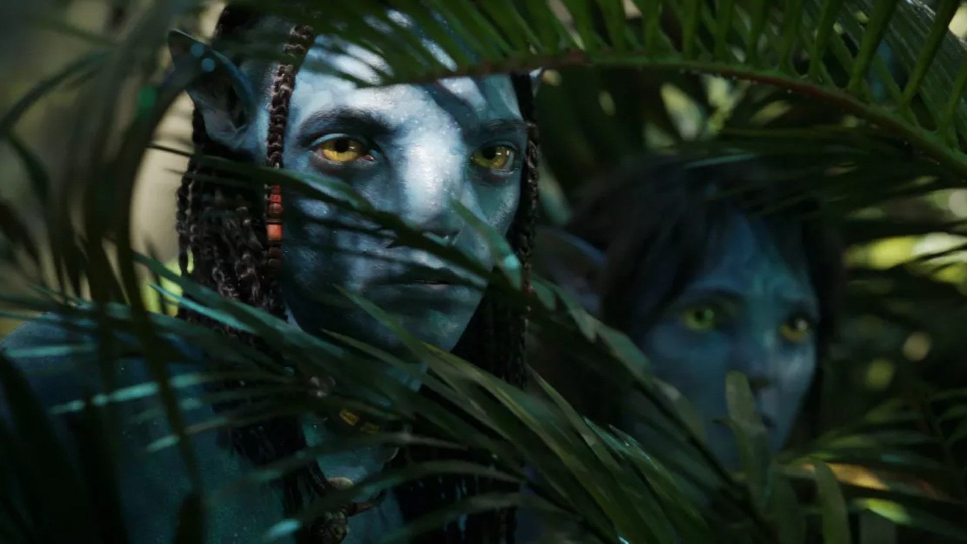 Sự thật về kỳ quan điện ảnh Avatar 2: Đạo diễn lặn 10km xuống lòng đại dương để tìm cảm hứng - Ảnh 6.